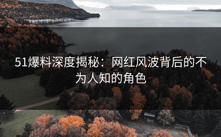 51爆料深度揭秘：网红风波背后的不为人知的角色
