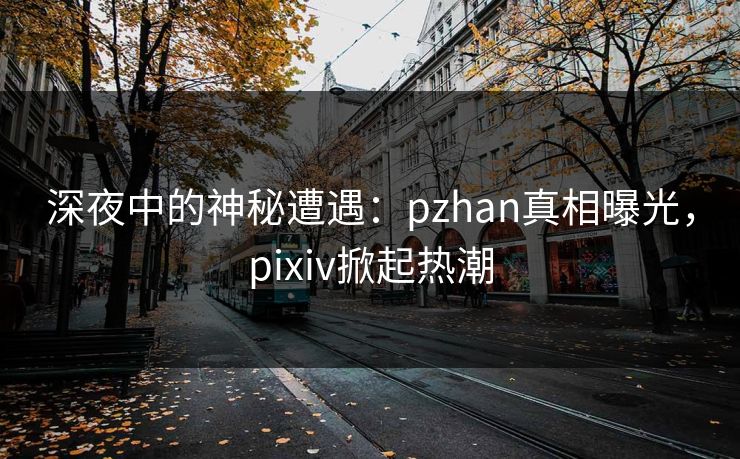 深夜中的神秘遭遇：pzhan真相曝光，pixiv掀起热潮