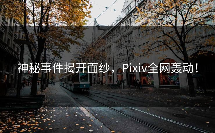 神秘事件揭开面纱，Pixiv全网轰动！