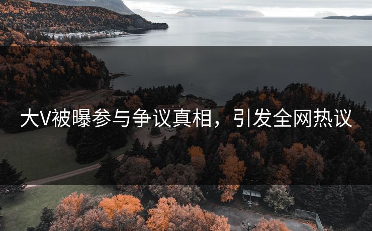 大V被曝参与争议真相,引发全网热议