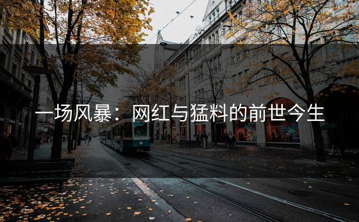 一场风暴:网红与猛料的前世今生