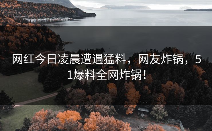 网红今日凌晨遭遇猛料,网友炸锅,51爆料全网炸锅!
