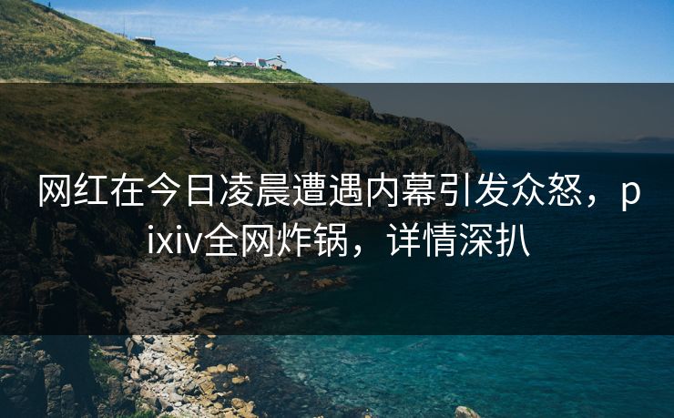 网红在今日凌晨遭遇内幕引发众怒,pixiv全网炸锅,详情深扒