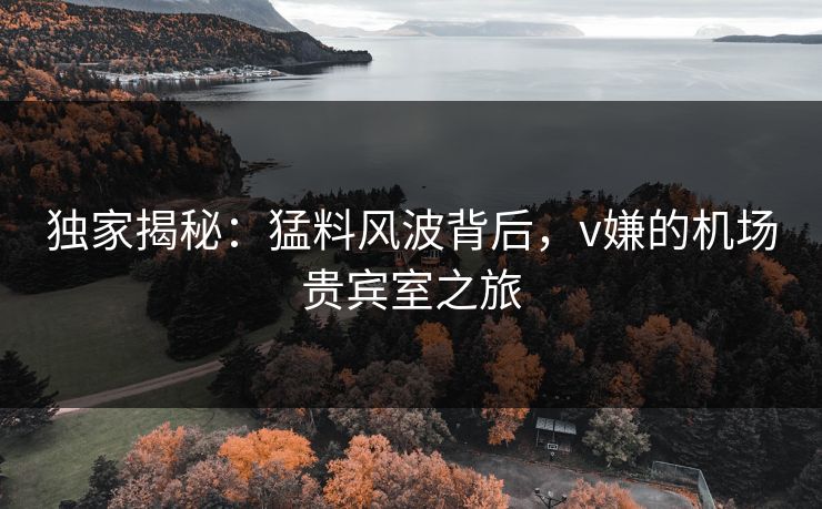 独家揭秘:猛料风波背后,v嫌的机场贵宾室之旅