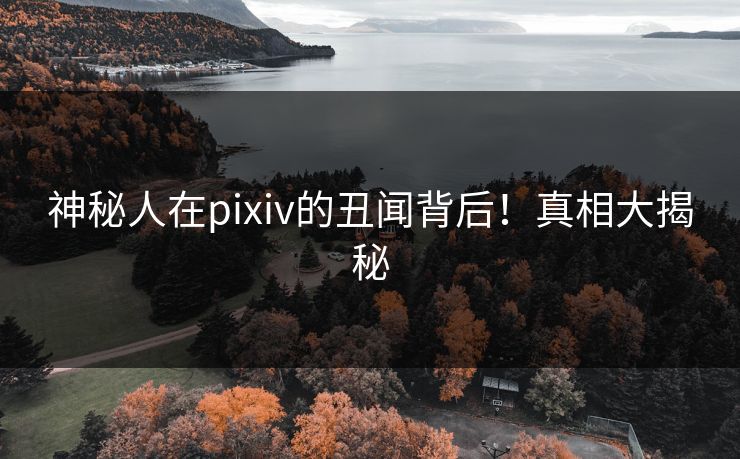 神秘人在pixiv的丑闻背后!真相大揭秘