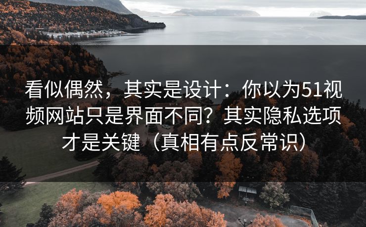 看似偶然，其实是设计：你以为51视频网站只是界面不同？其实隐私选项才是关键（真相有点反常识）