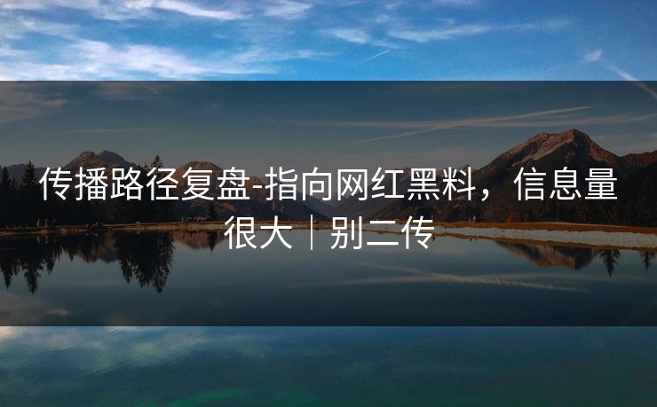 传播路径复盘-指向网红黑料，信息量很大｜别二传