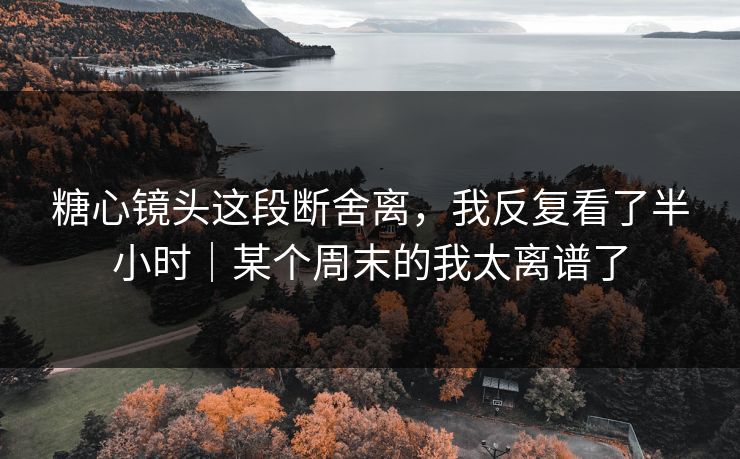 糖心镜头这段断舍离,我反复看了半小时|某个周末的我太离谱了 糖心镜头这段断舍离,我反复看了半小时|某个周末的我太离谱了